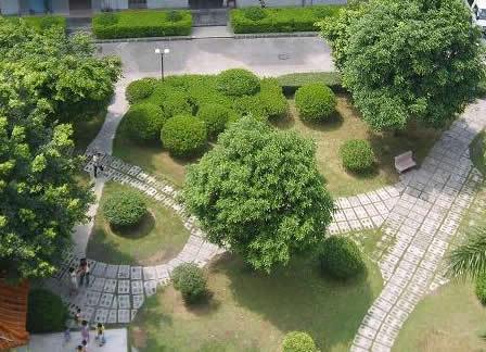 南京绿化工程园林绿化