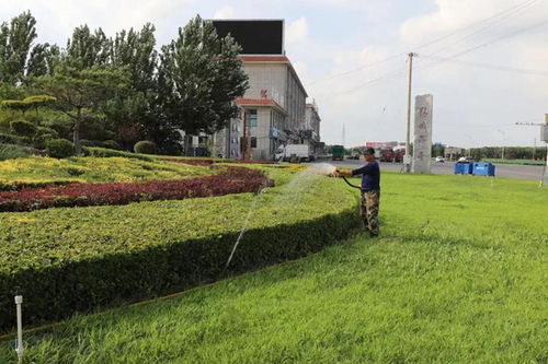 洮南市公园管理中心开展绿化养护工作