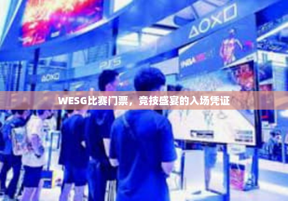 WESG比赛门票，竞技盛宴的入场凭证