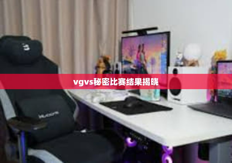 vgvs秘密比赛结果揭晓